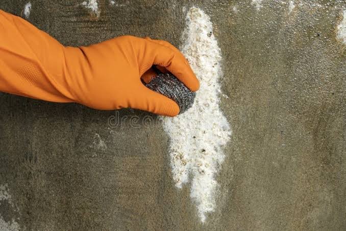Efflorescence & Dampness Fixing
